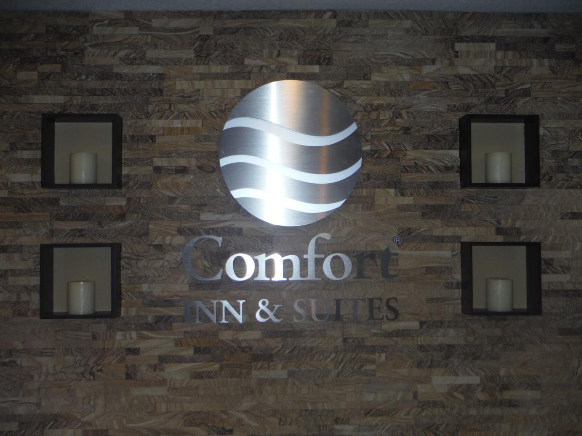 Comfort Inn & Suites - Chisago City Eksteriør bilde