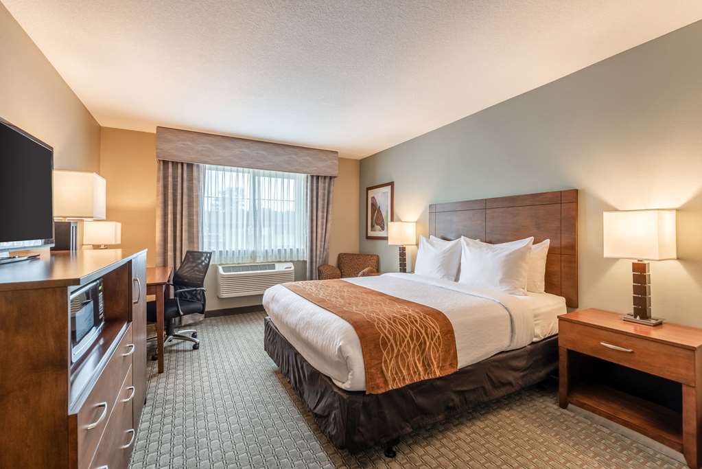 Comfort Inn & Suites - Chisago City Rom bilde