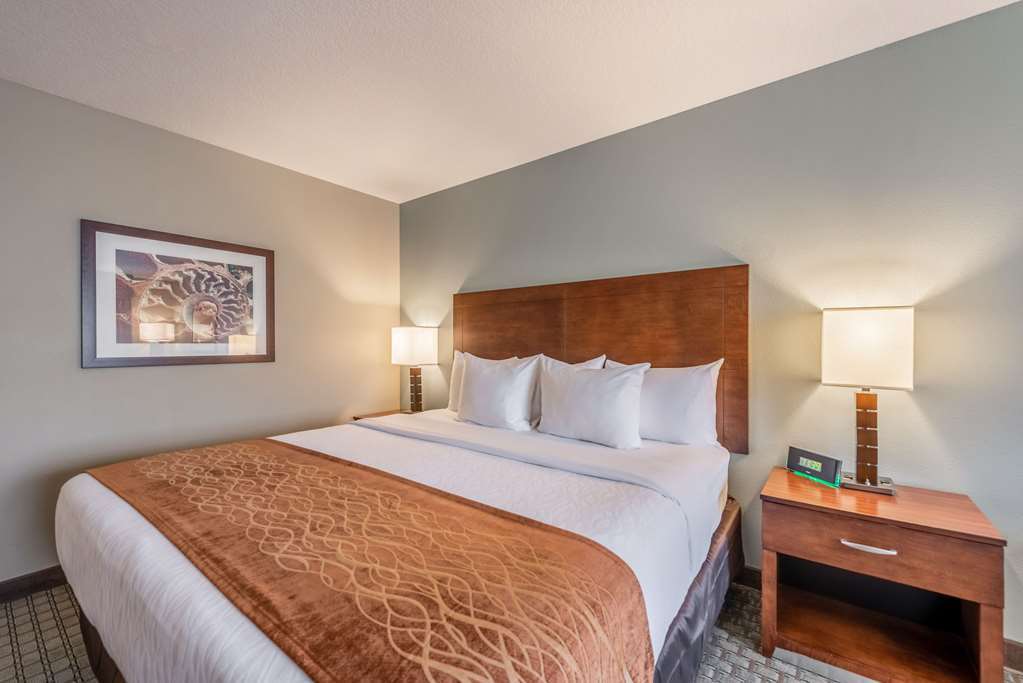 Comfort Inn & Suites - Chisago City Rom bilde