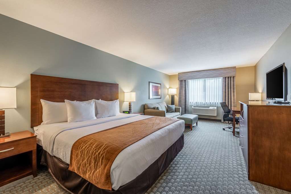 Comfort Inn & Suites - Chisago City Rom bilde